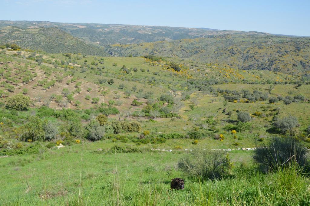 Casa Rural El Meson Fermoselle Dış mekan fotoğraf
